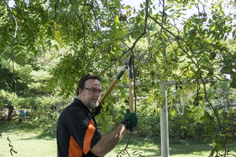 Top Rated Products for Tree Trimming