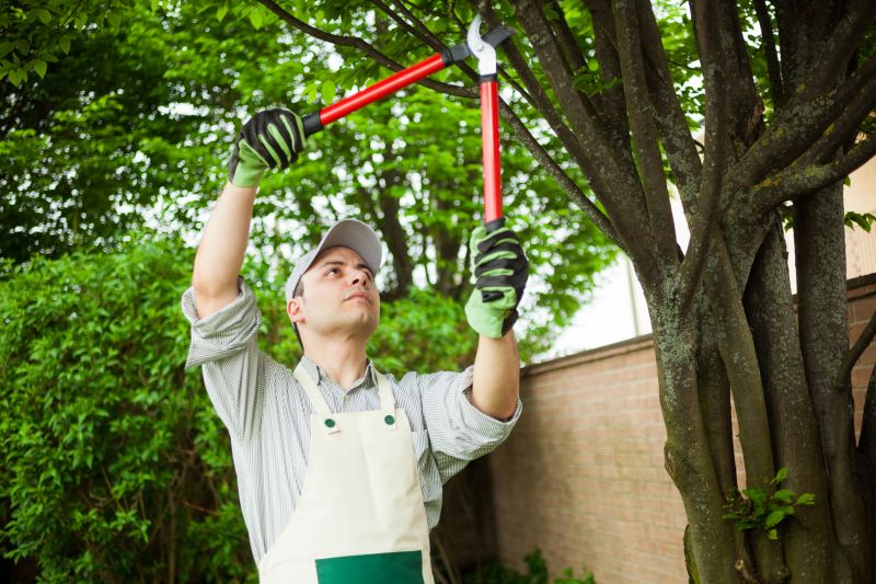 Tree Trimming
