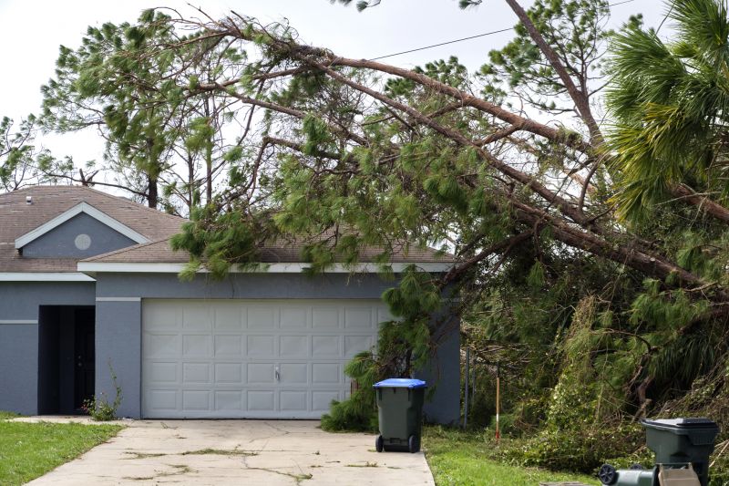 Tree Fallen on House