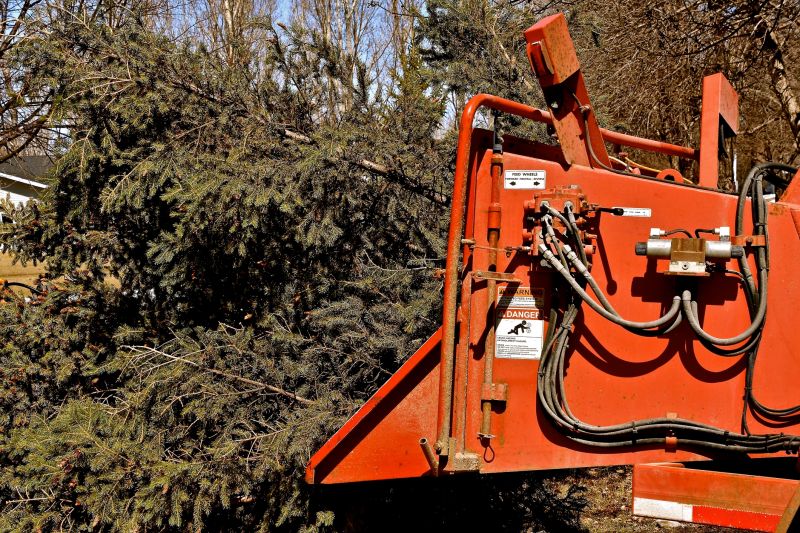 Seasonal Tree Care Equipment