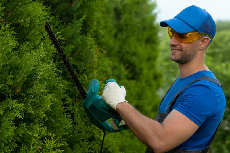 Understanding Tree Trimming Costs — Cost of Tree Trimming
